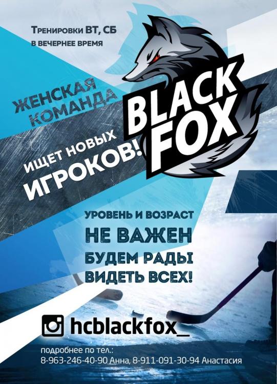 BlackFox.jpg