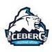Ледовая арена Iceberg